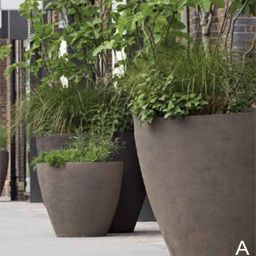 POTS & PLANTS
