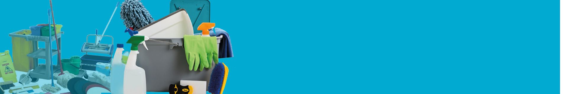 page-banner