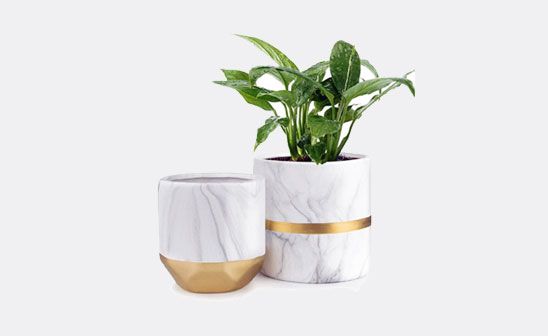 INDOOR PLANTS & POTS