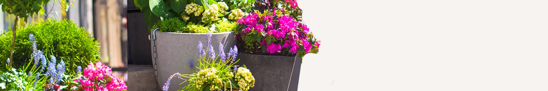 page-banner
